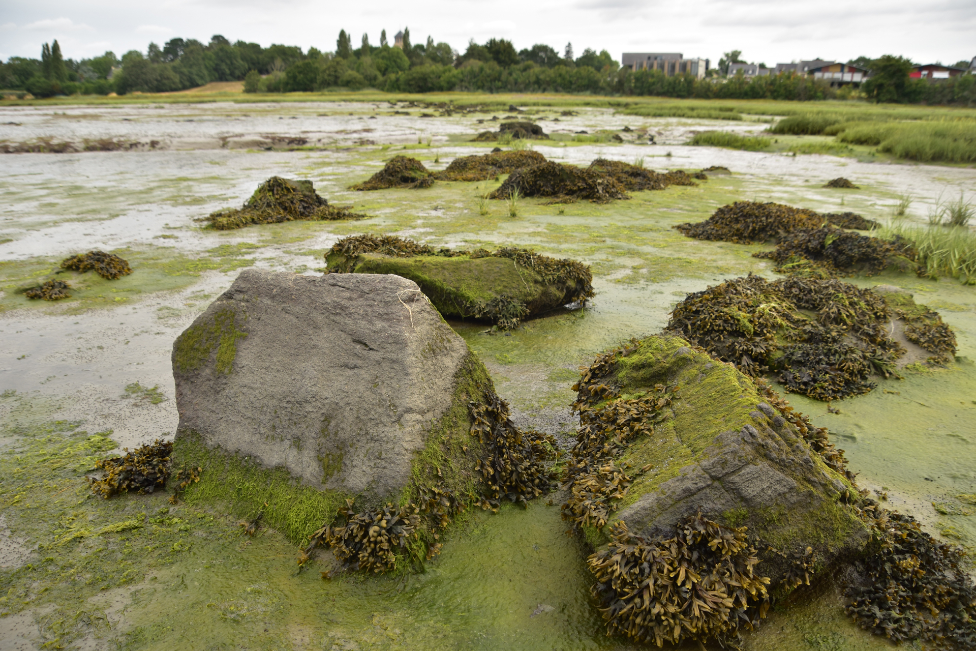 L'alignement du Purgatoire