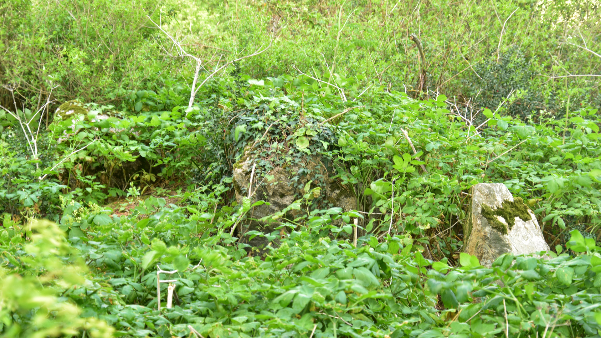 L'alignement de la pointe de Liouse