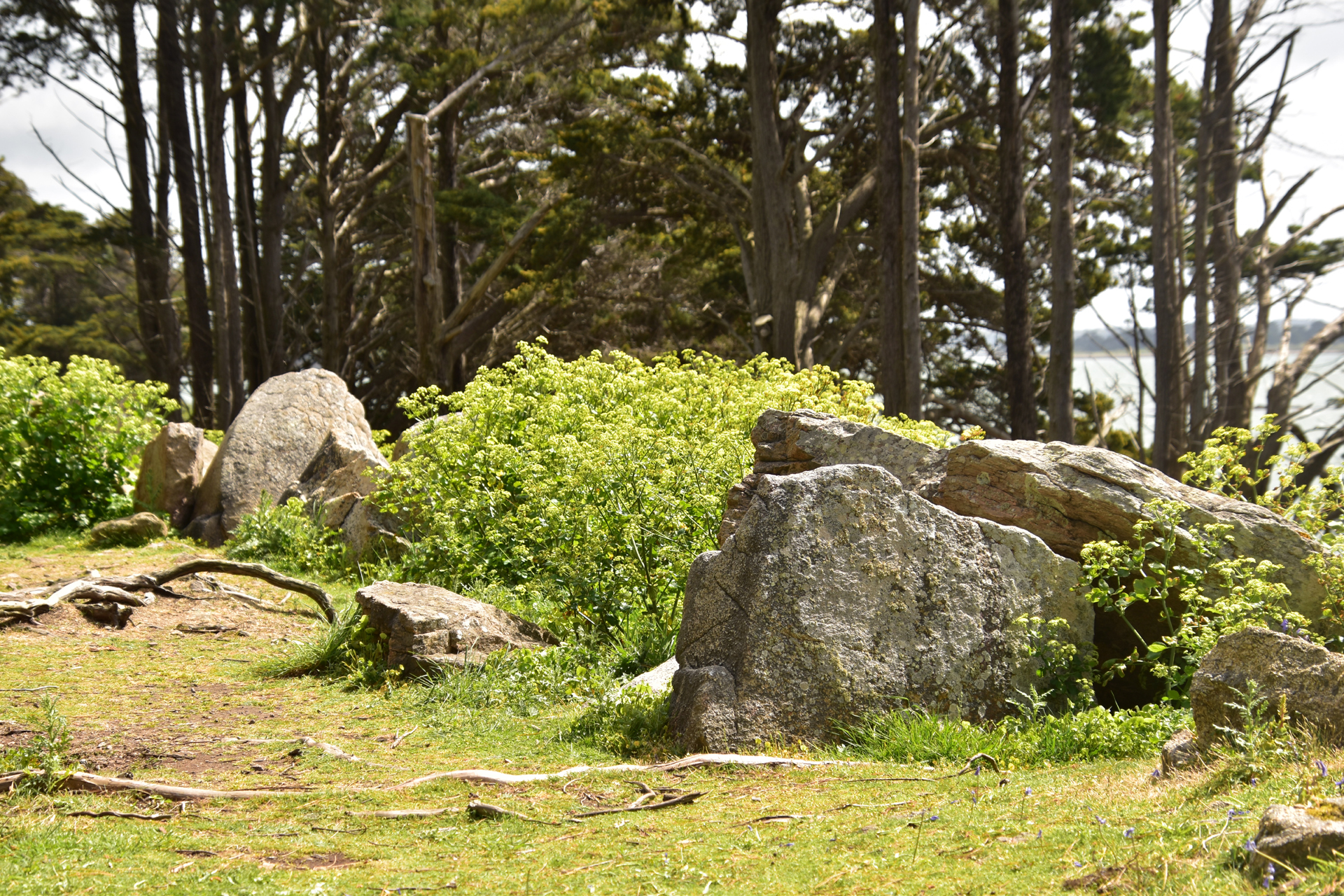 dolmen de Pen Liouse