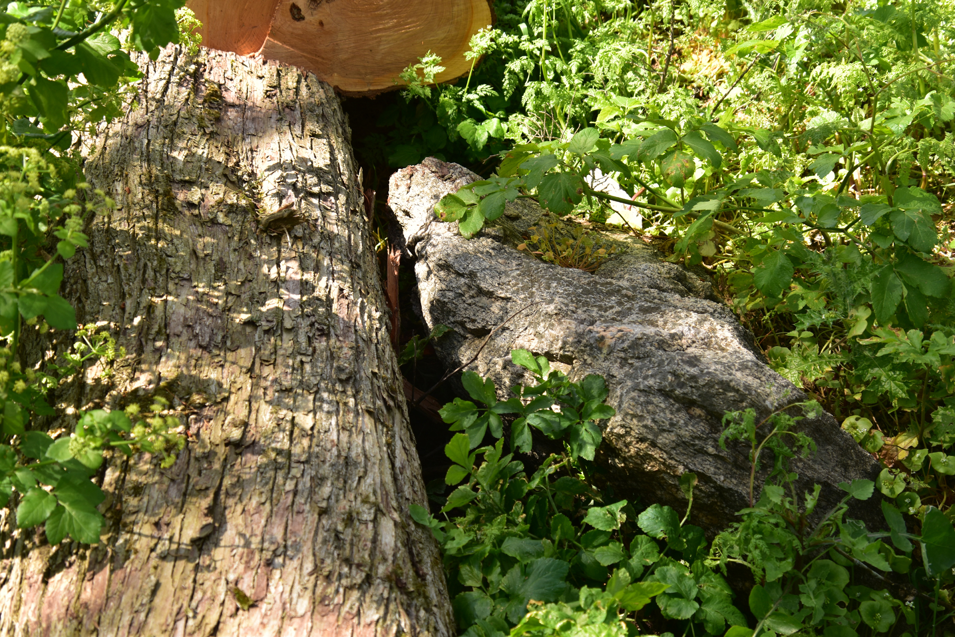 dolmen de Pen Liouse