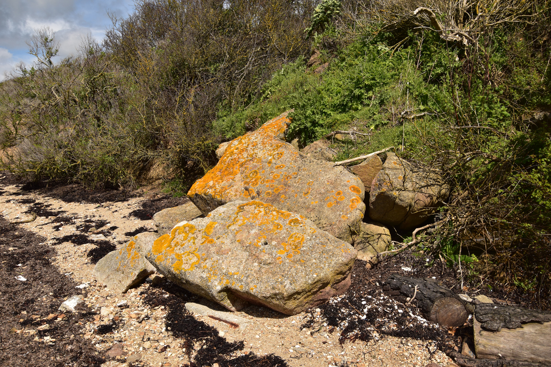 Le dolmen de la plage du Brouel