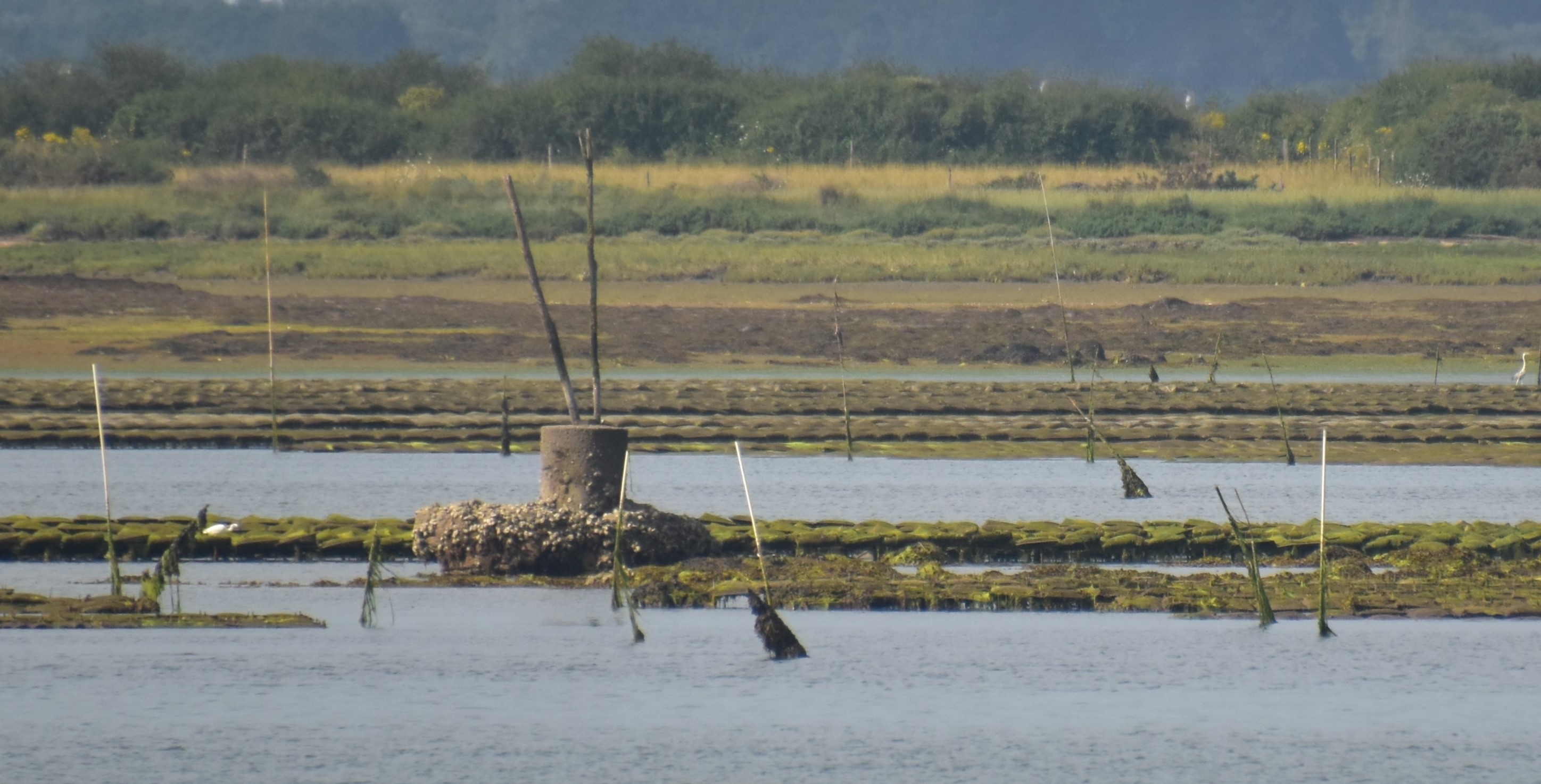 Le menhir de l'Eskobez