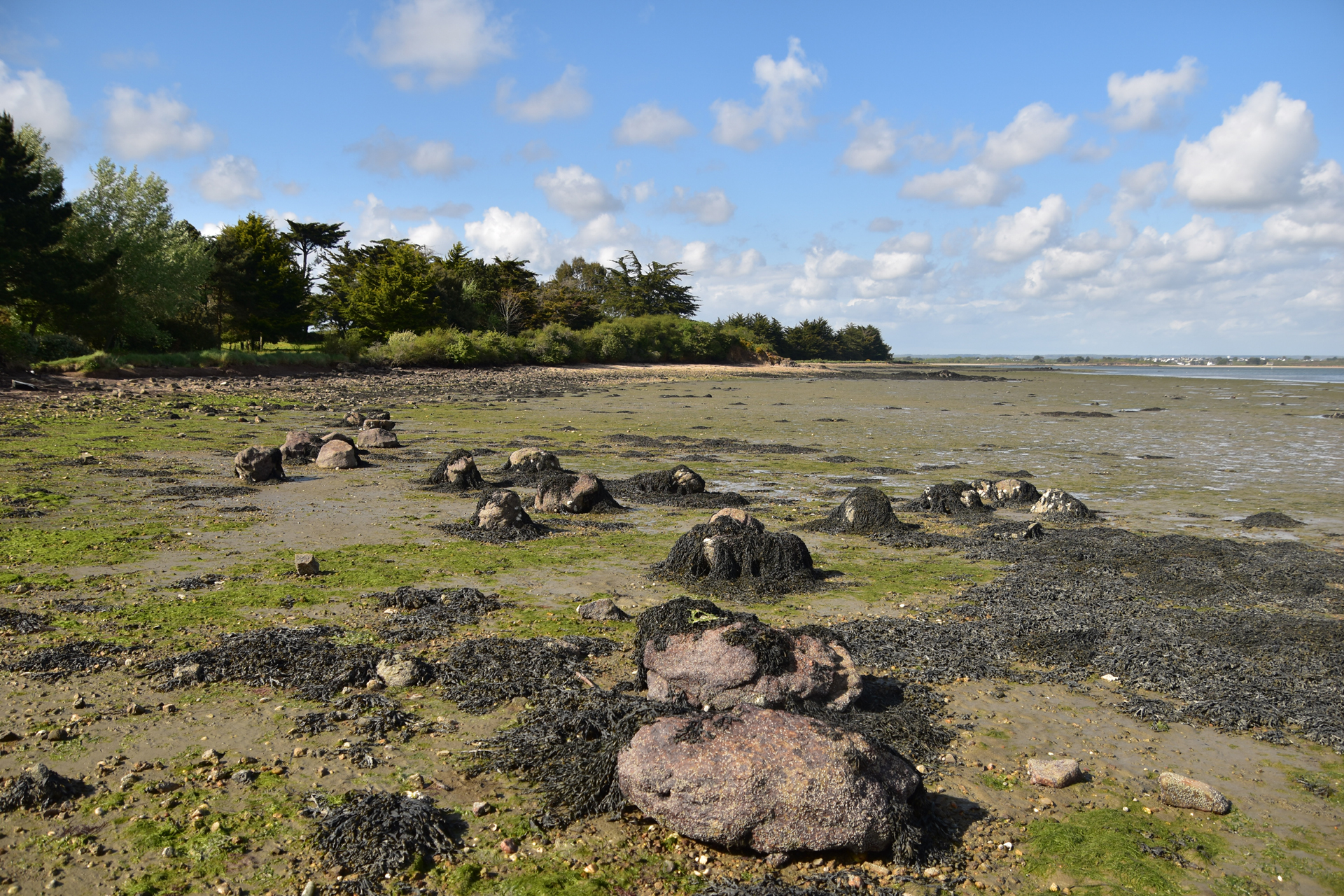 Les menhirs de Bilhervé