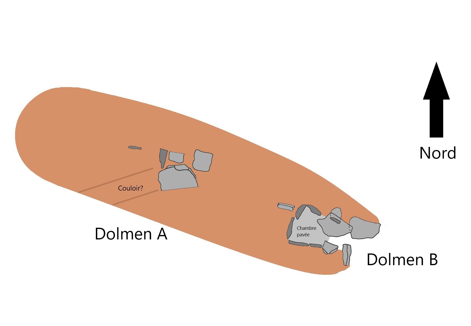 Plan des dolmens de la pointe de Liouse