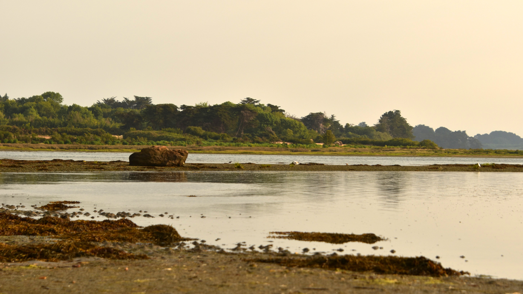 Le menhir de Porh Neze