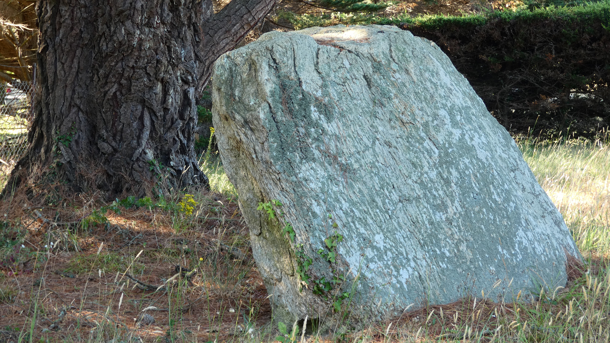 Le menhir de Men Guen