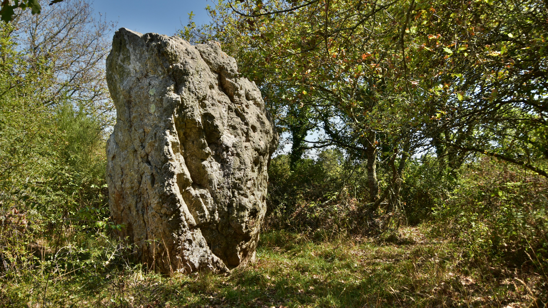 Le menhir de Cohporh