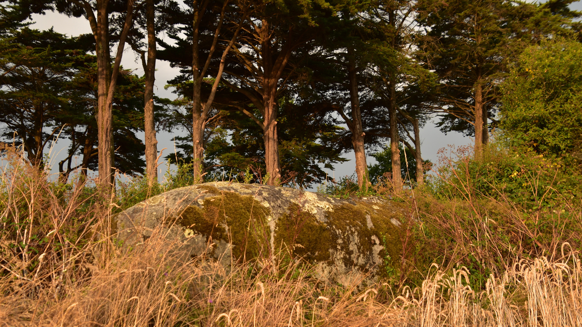 Le menhir du Fuseau de Jeannette