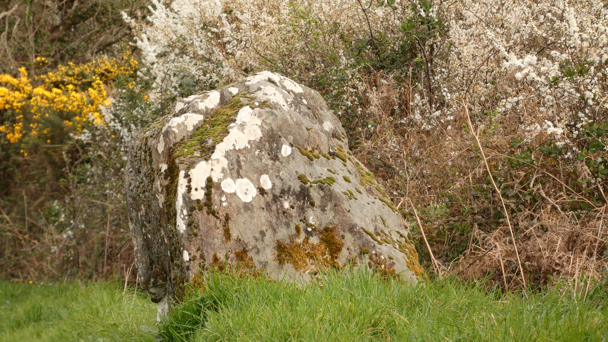 Le menhir de Bodérin