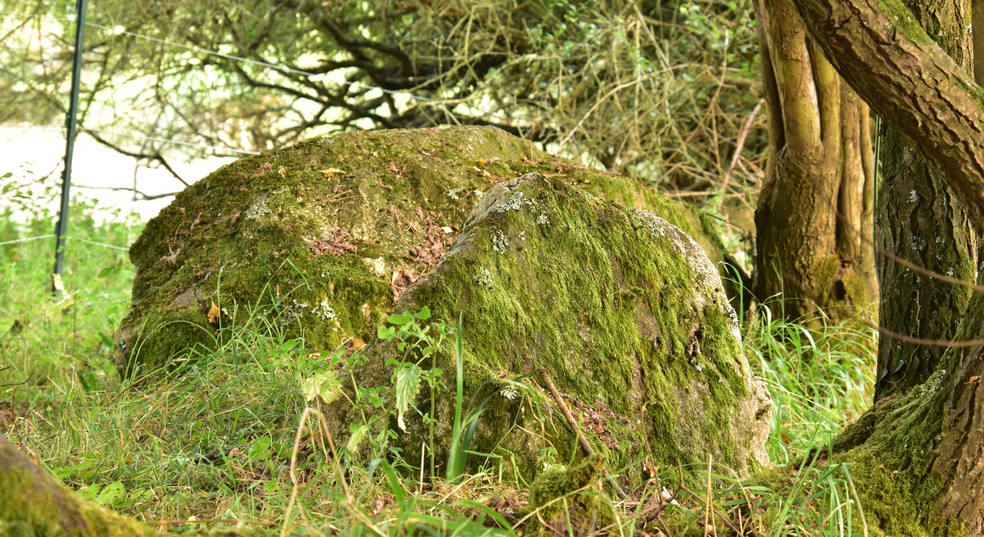 Les blocs du Fournevay
